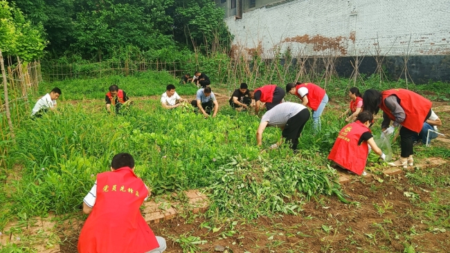 夏日除草正当时——槐芽镇新时代文明实践所组织开展夏日除草志愿服务活动