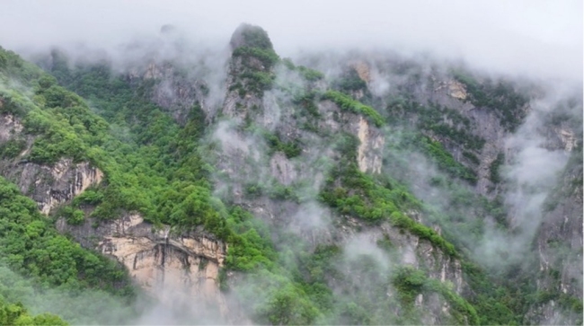 当端午“遇见”高考 来青峰峡畅享鲜氧小长假