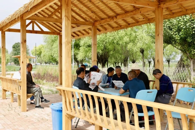 榆林市榆阳区:以新质生产力绘就乡村振兴新画卷