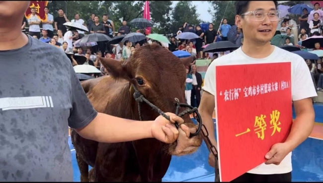 大地流彩·和美乡村 宝鸡市乡村篮球大赛（村BA）开幕