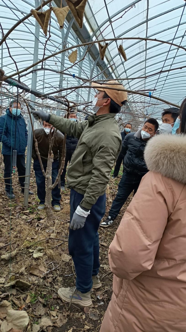 ﻿返乡创业 眉县年轻人为乡村振兴贡献青春力量