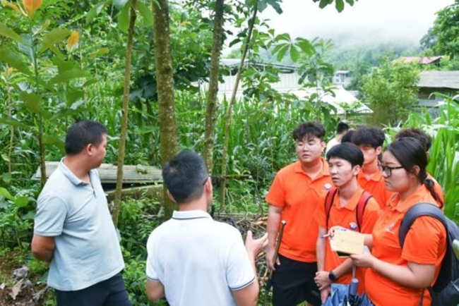 当地负责人为实践团成员讲解魔芋种植相关事宜。通讯员白景琦供图