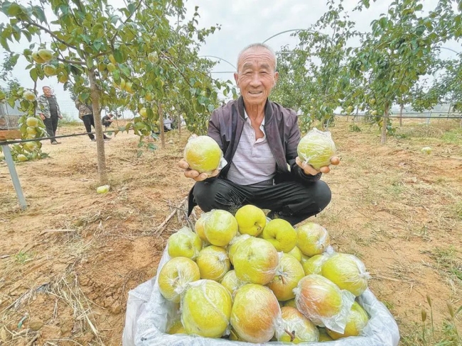 产业兴 乡村美 人心和——陕西吴堡县扎实推进宜居宜业和美乡村建设纪实