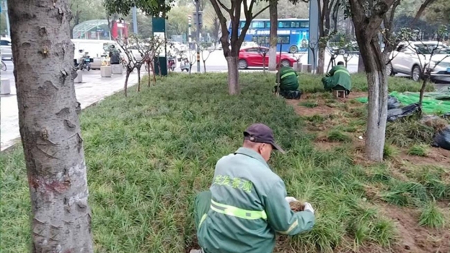 精细管理“绣”出西安经开高颜值