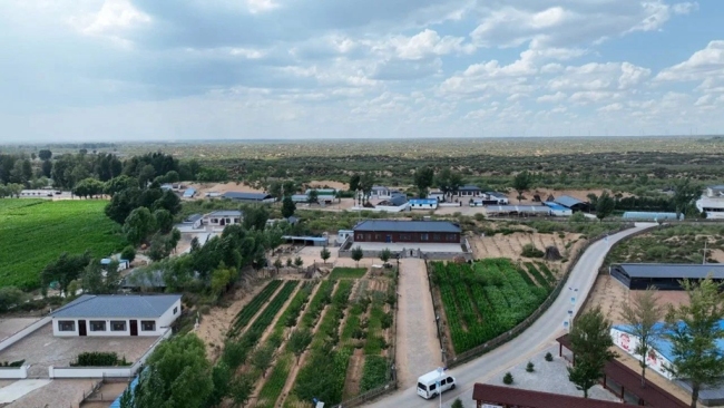 榆林市榆阳区：用地审批新模式 绘就伙场庭院好“丰”景