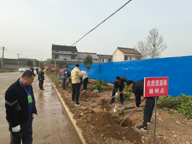 眉县自然资源局组织开展春季义务植树活动