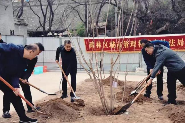 西安市碑林区全面启动“绿色碑林，生态同行”植树节活动