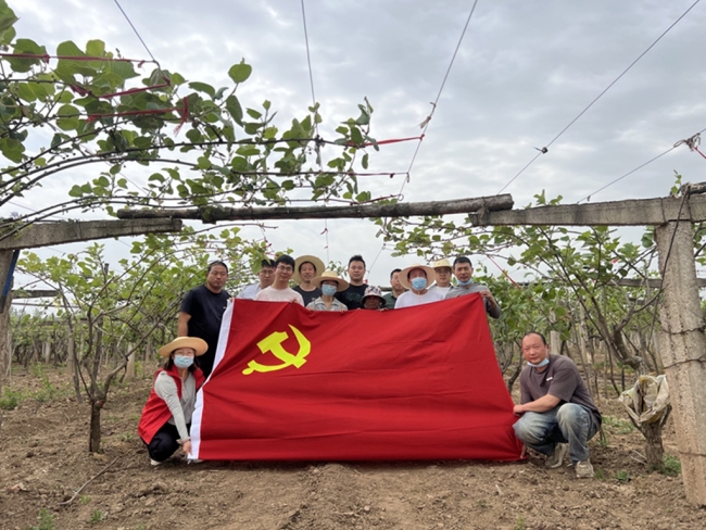 眉县槐芽镇：干群同心疏蕾忙，为民解忧暖人心