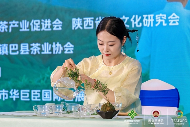 镇巴隆升茶业借第十九届西安茶博会推介“正东和”品牌
