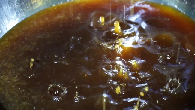 陕西横山：坚守传统工艺 酿造健康好醋