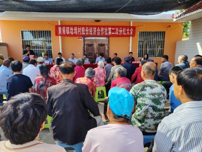 府谷县埝墕村：集体经济“结硕果” 村民分红笑开颜