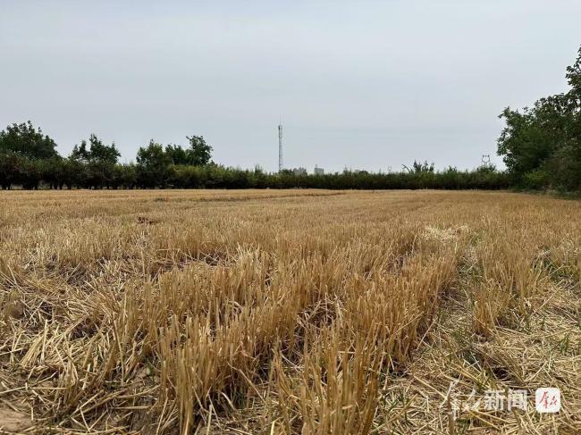咸阳乾县袁家庄村水泵“罢工” 近300亩耕地或撂荒