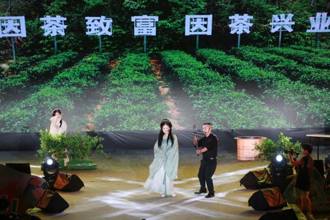  秦岭夏夜沸腾！宁陕两镇“斗艺”村光大道 西安游客组团打卡