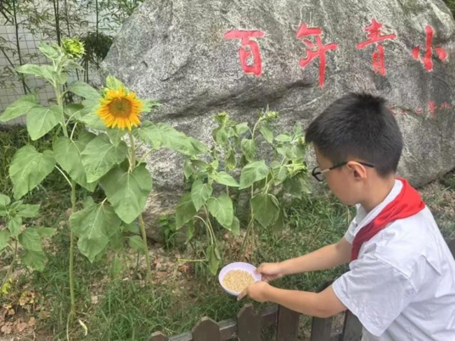 西安莲湖区教育系统组织开展 “守护蓝天精灵，共筑生态家园”爱鸟护鸟系列实践活动