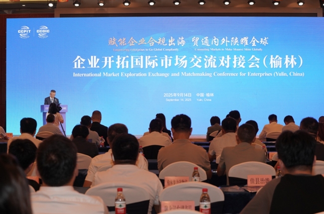 企业开拓国际市场对接会在榆林落幕 百余家企业获精准出海助力