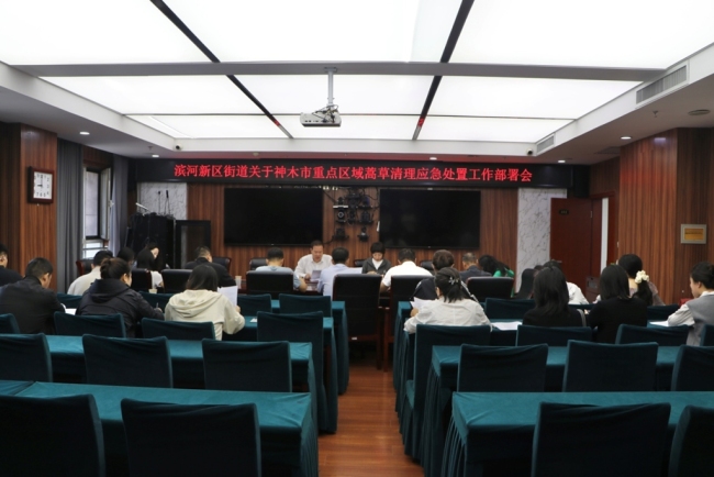陕西神木市滨河新区街道全面开展蒿草专项清理行动