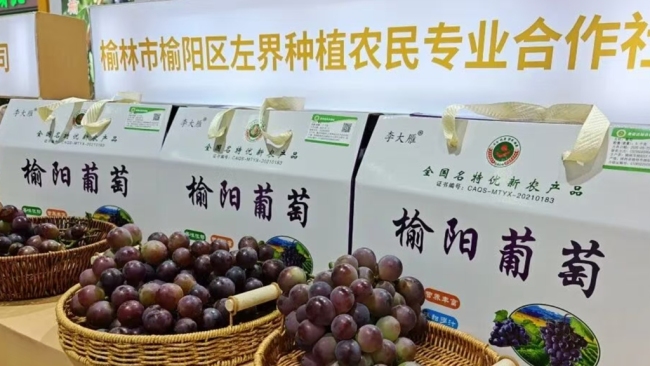 榆林市榆阳区携特色农产品亮相全国名特优新农产品产销对接会