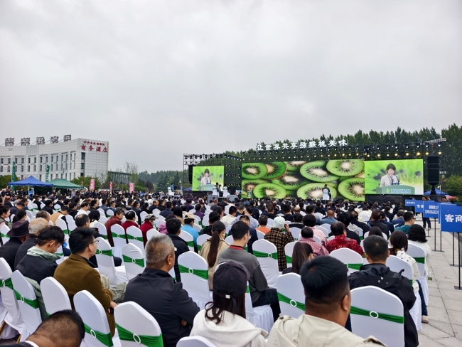 展示新成果 共绘新蓝图 第三届中国猕猴桃博览会在陕西眉县开幕