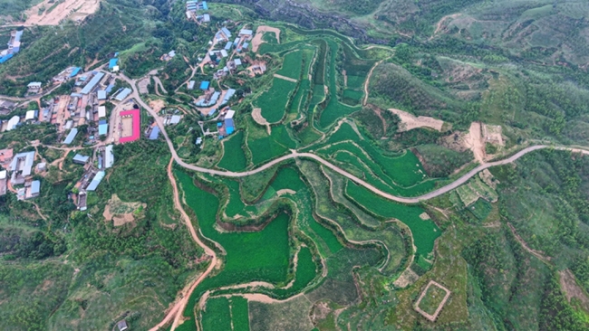 神木万镇：山水枣乡织画卷 产旅融合谱华章