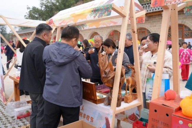 “佳县红·葭州美”佳县2025中国农民丰收节活动启动