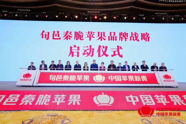 陕西旬邑：打造旬邑秦脆苹果品牌 争创“中国秦脆苹果第一县”