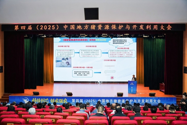 第四届中国地方猪资源保护与开发利用大会在陕西清涧开幕 共谋本土猪产业新未来