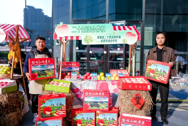 榆林绥德山地苹果专场推介会在西安举办
