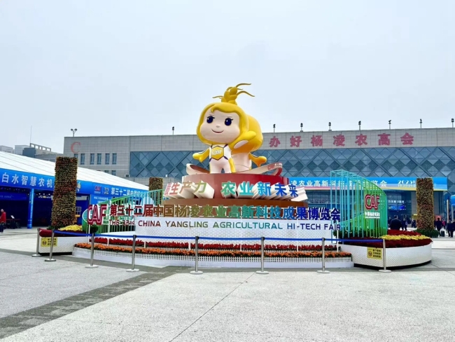 陕西佳县特色农产品精彩亮相第三十二届杨凌农高会