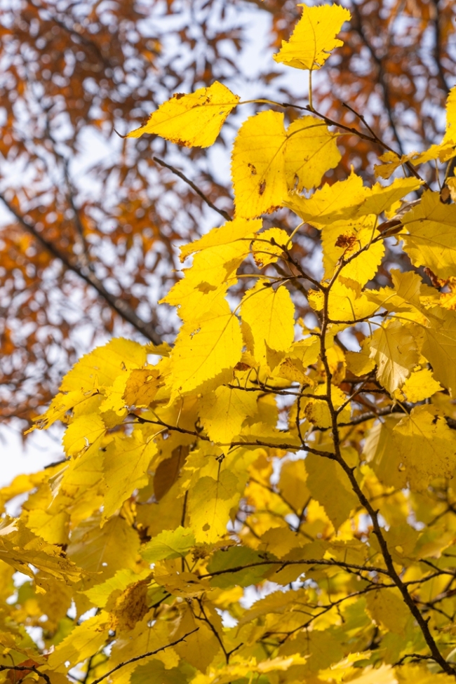 “瞰见秦岭 诗画终南”媒体景区行活动 邂逅南五台秋韵