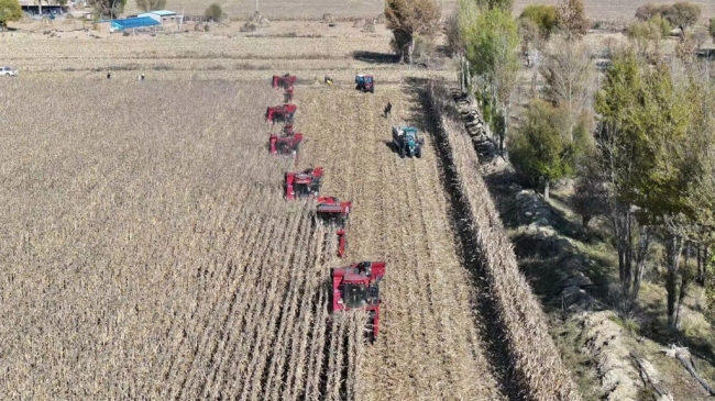 榆林市榆阳区玉米秋收全面推进 机械化助力丰产丰收