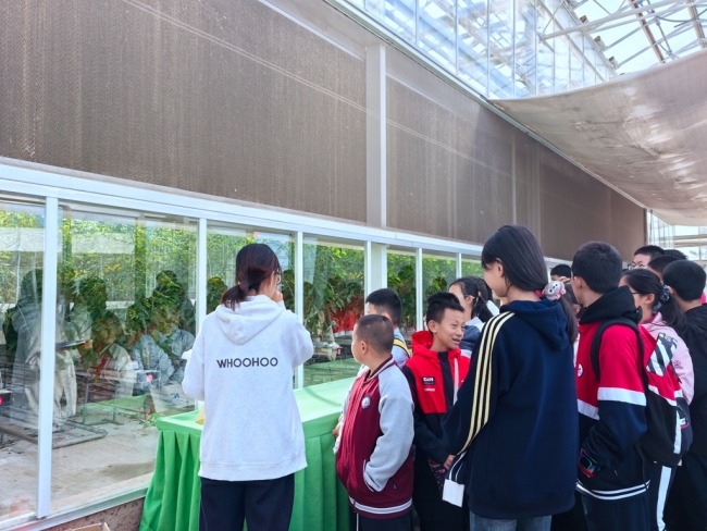 百名学子走进神木市现代农业示范园 体验沉浸式研学