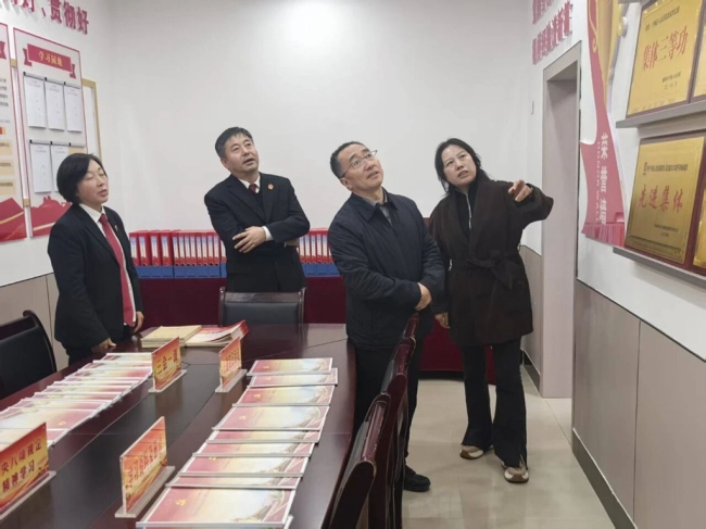 子洲法院党组书记惠东东督导检查巩衔工作