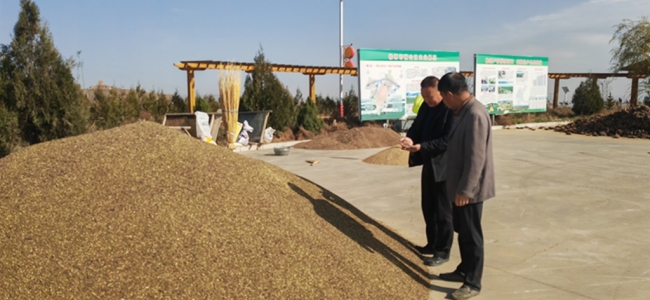 榆林市横山区:冬藏正当时 技术来护航