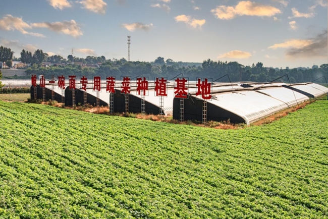 宝鸡岐山：甑糕领衔“走出去” 家乡味闯出新天地