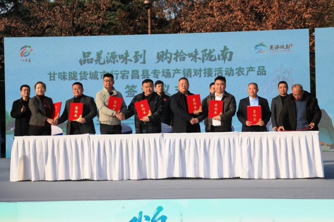 文旅引领 电商为翼：宕昌“陇货”乘电商东风入长安