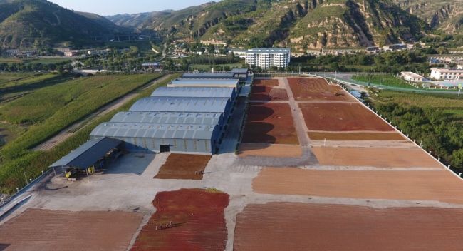 陕西清涧:山海同心促协作 千里共绘振兴卷