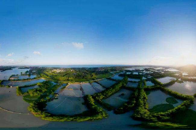 从雪山到蓝海：以ESG实践筑就 可持续发展之路