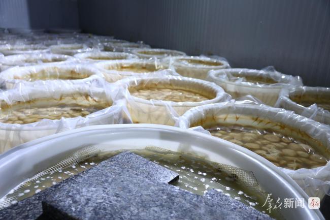 榆阳:特色产业兴乡村 冰雪文旅惠民生