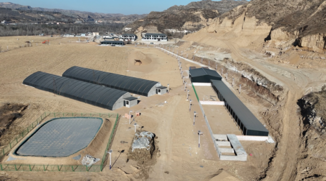 神木市沙峁镇：村企结对聚合力 绘就振兴新图景