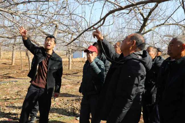 宜君:农技专家“送技入田”护航苹果产业春耕提质增效