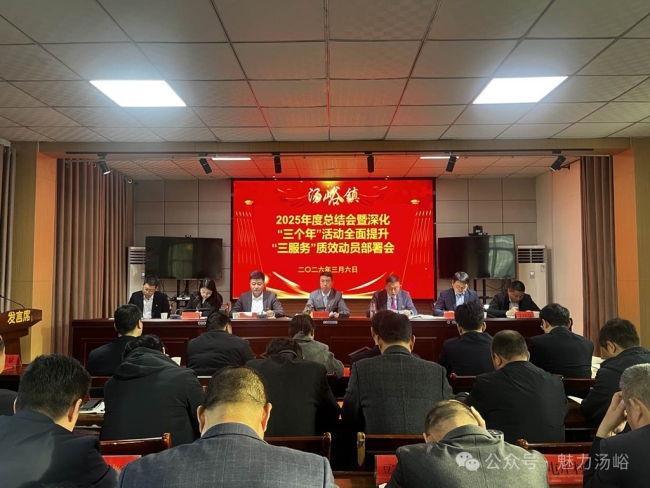 眉县汤峪镇召开2025年度总结会暨深化“三个年”活动全面提升“三服务”质效动员部署会