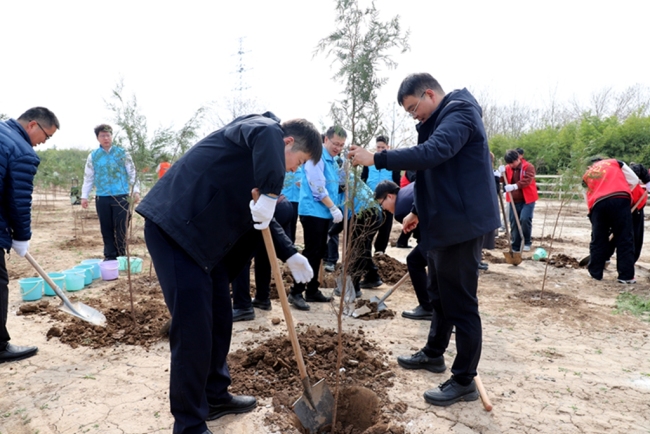 中建八局西北公司联合四所高校开展植树节志愿服务暨团建联建活动
