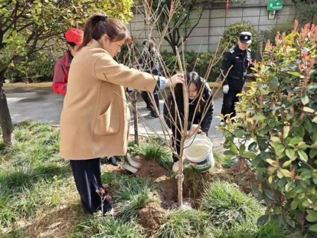 西安市碑林区：增绿添彩 美化家园