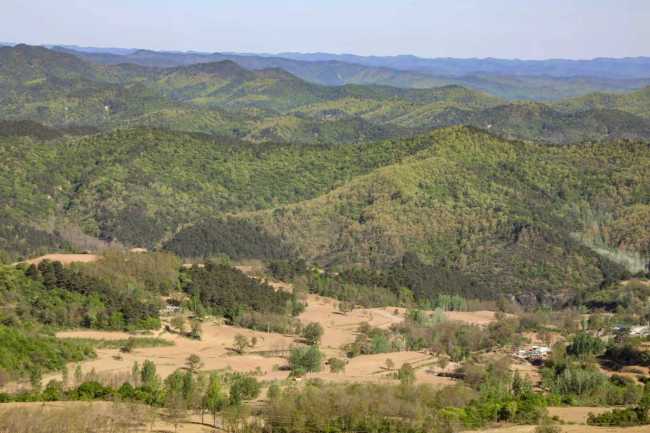 宜君：生态为底兴产业 民生为本促振兴