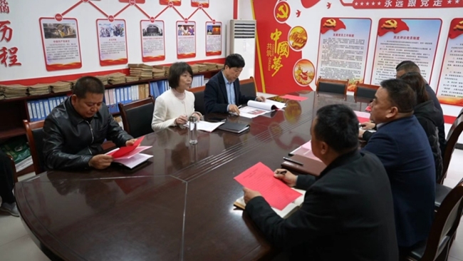 眉县县委书记王继萍专题调研三寨村“党史进农村”实践基地项目进展情况