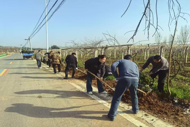 春染横渠，人居环境整治绘就乡村“新画卷”