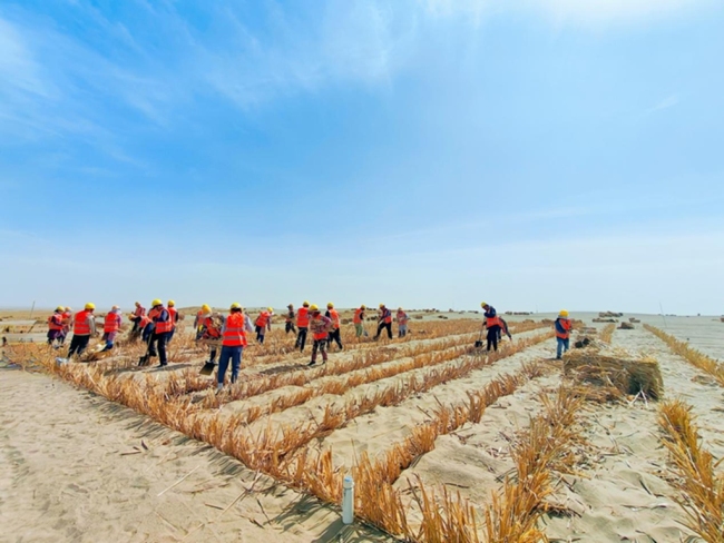 和田东三县生态治理项目拉开建设序幕