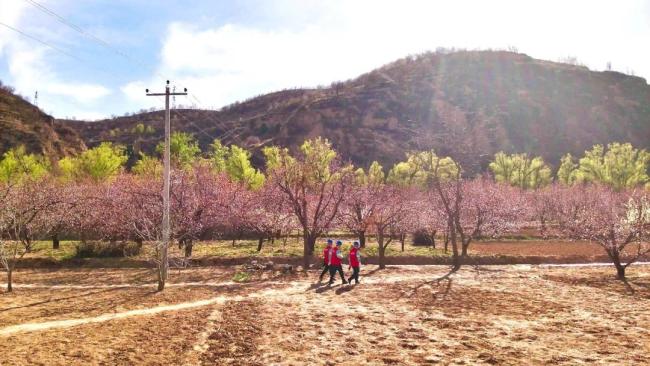 陕西绥德：春耕春灌正当时 电力服务到田间