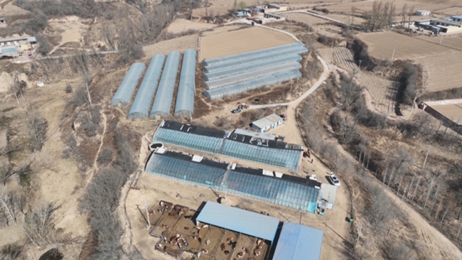 陕西府谷县黄甫镇:不负春光“育”好苗 万象“耕”新绘丰景