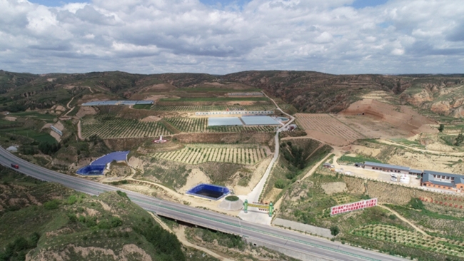 陕西府谷县：看“黄土高原的”绿色答卷